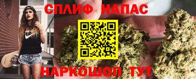 дживик Новозыбков