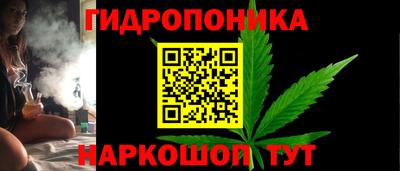 дживик Новозыбков