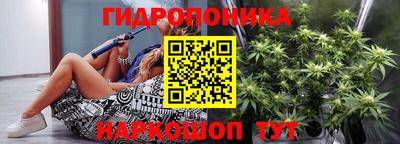 дживик Новозыбков