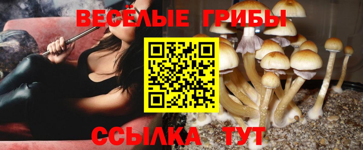 Псилоцибиновые грибы MAGIC MUSHROOMS  Псилоцибиновые грибы Psilocybe  Красноуфимск  Вход с VPN 